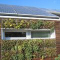 Benefits of Eco-Friendly Homes