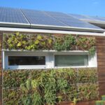 Benefits of Eco-Friendly Homes