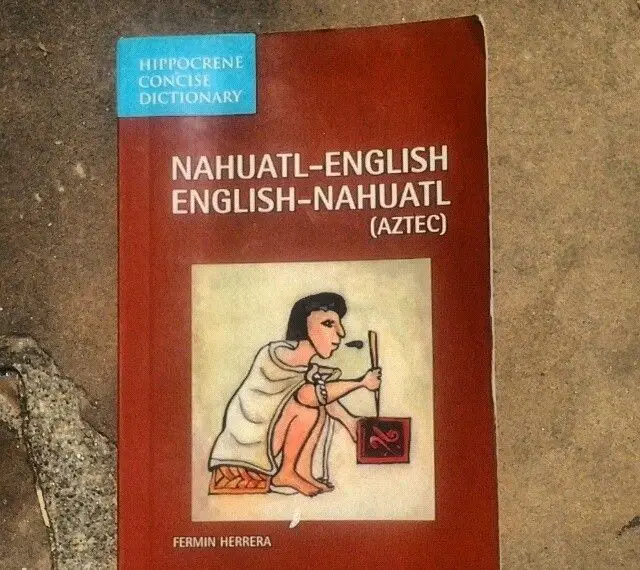 The Letter N in Linguistics Phonetics and Phonology